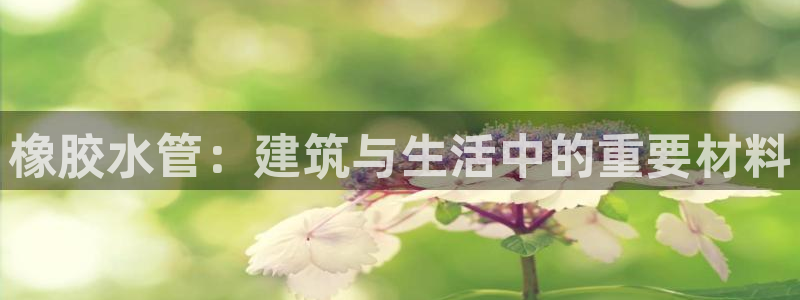 临平富邦星座娱乐会所