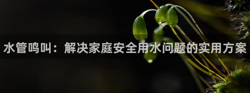 富邦商务娱乐会所