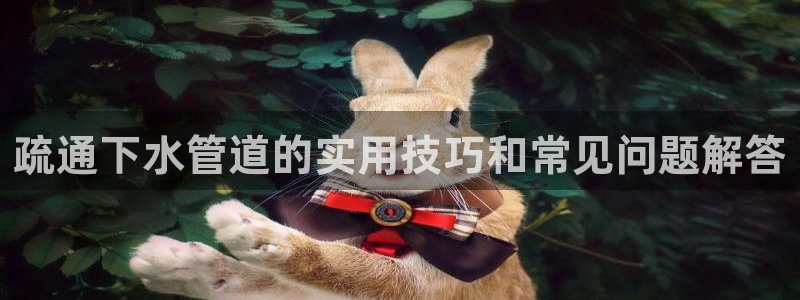 富邦娱乐团购怎么样啊