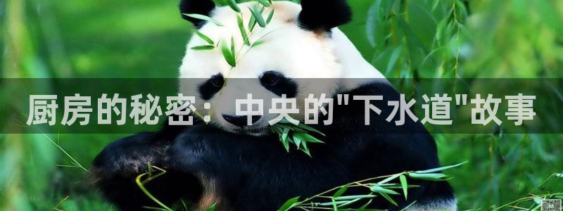富邦娱乐app官方下载