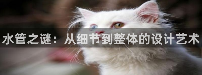 富邦酒店有娱乐场所嘛