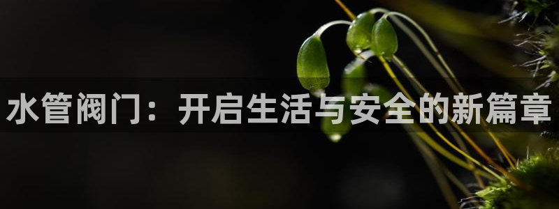 富邦线上娱乐城