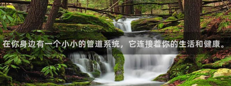 富邦 娱乐 花花公子