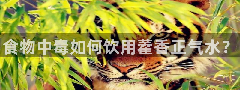 富博娱乐可以邦银行卡吗
