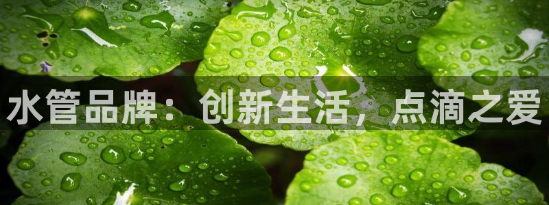 富邦天娱娱乐有限公司