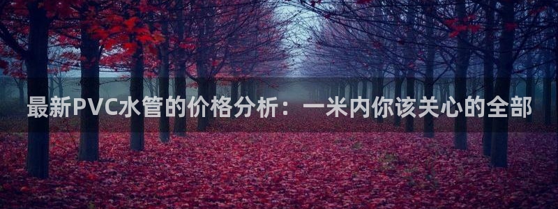 屏山富邦娱乐会所怎么样