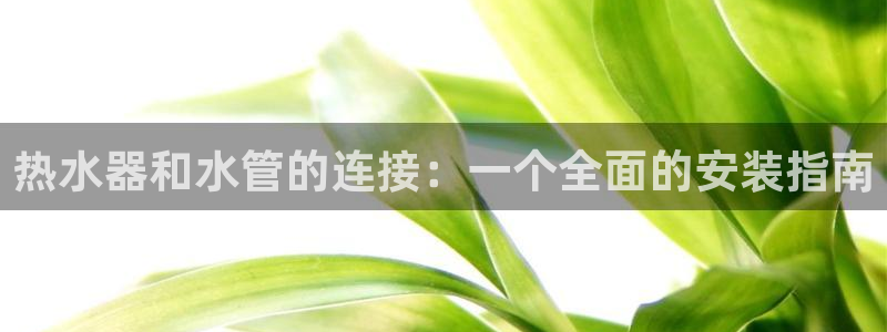 上海邦富娱乐有限公司