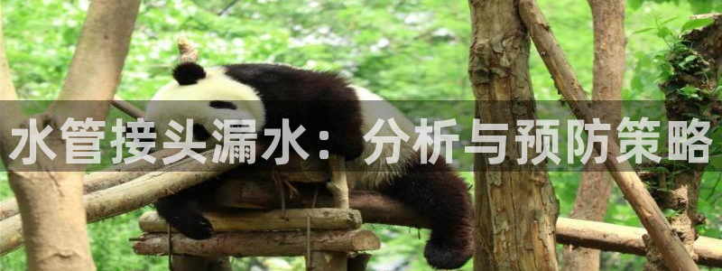 宁波富邦广场娱乐会所