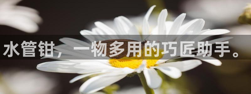 富邦娱乐网