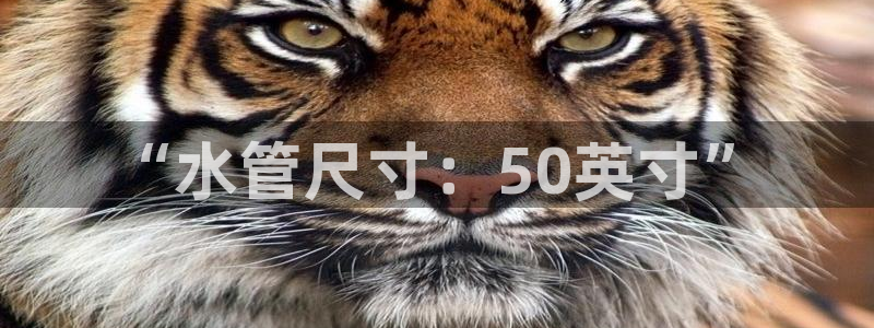 富邦娱乐28元