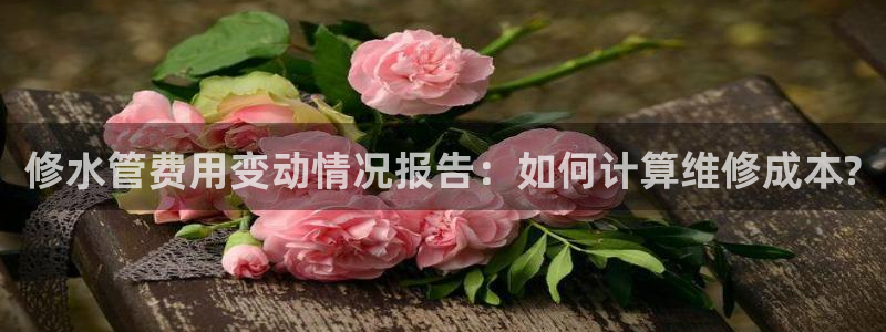 富邦娱乐平台 全礴网