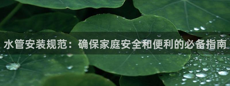 富邦娱乐活动
