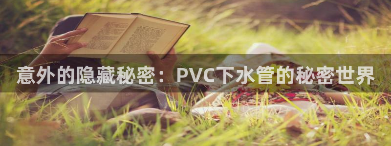 富邦娱乐 全礴网