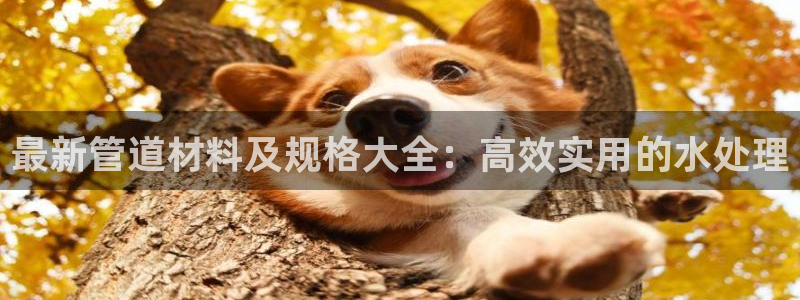 富邦娱乐城