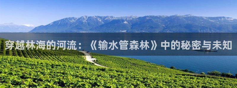 富邦娱乐平