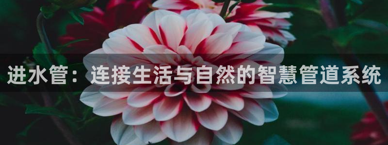 富邦翡翠娱乐
