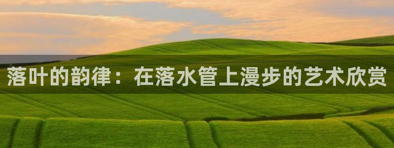 富邦娱乐fub