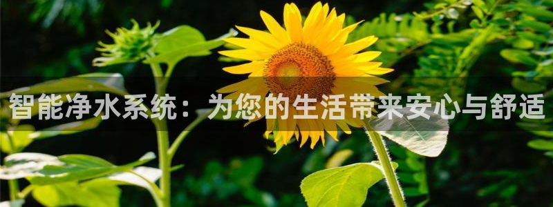 澳门富邦线上娱乐平台
