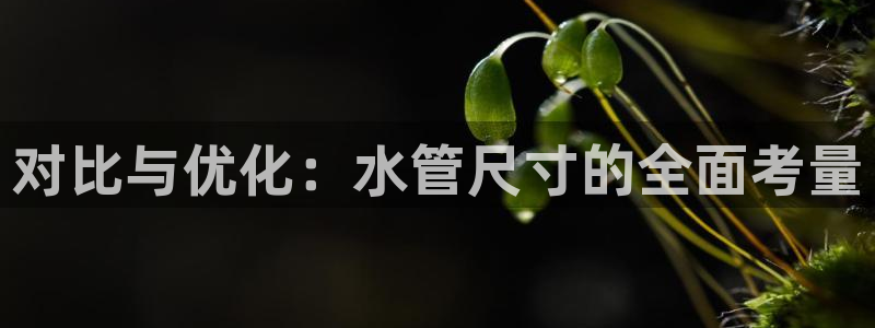 杭州富邦丽晶娱乐会所