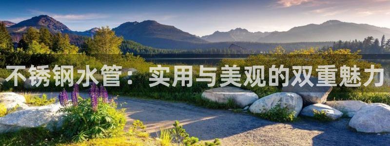 富邦天娱娱乐有限公司