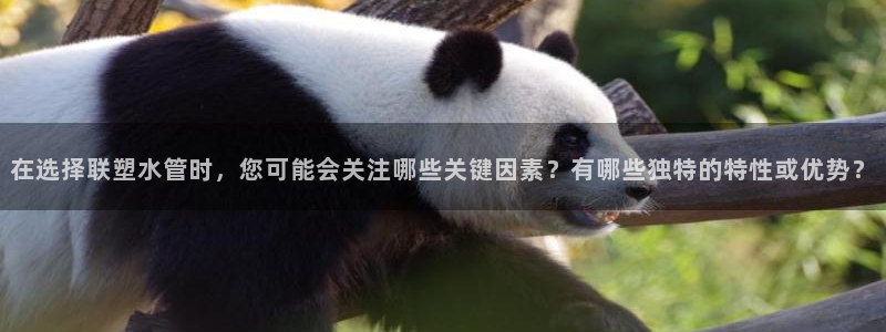 富邦娱乐登入探索无限空间