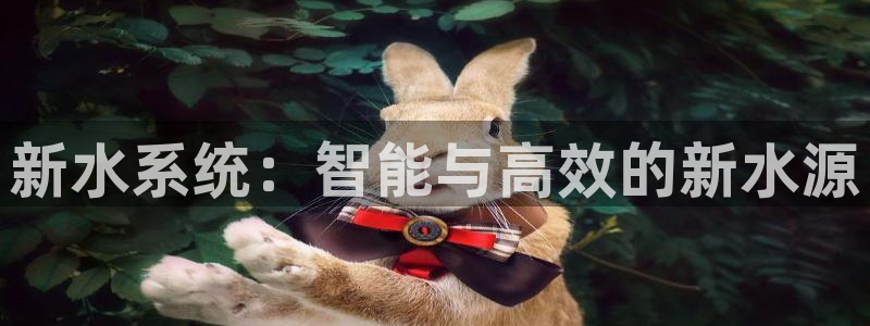 上海邦富娱乐
