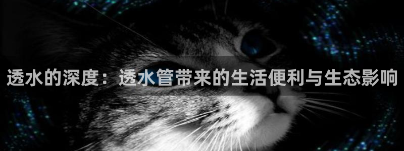 富邦娱乐网站是