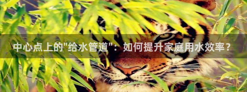 富邦娱乐赌场