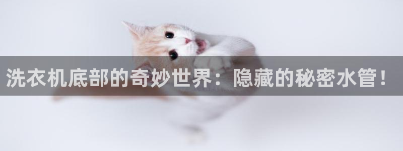 常州富邦广场有什么娱乐