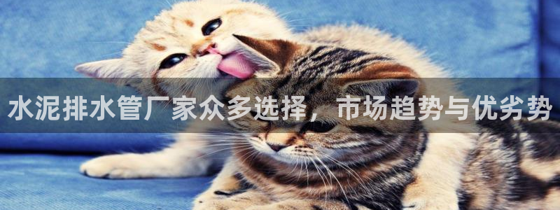 上海邦富娱乐