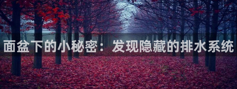 临平富邦娱乐会所