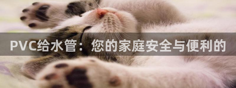 杭州富邦娱乐在营业吗