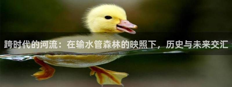 f08富邦娱乐