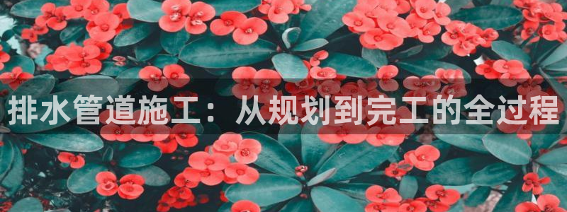 富邦娱乐登入探索无限空间