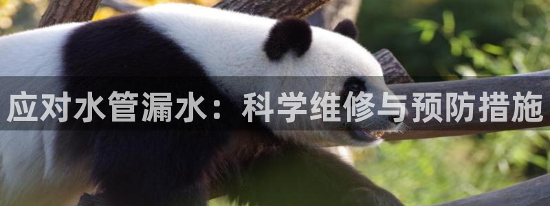 壹家娱乐北仑区富邦