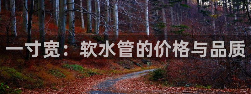 富邦娱乐-上全狐网