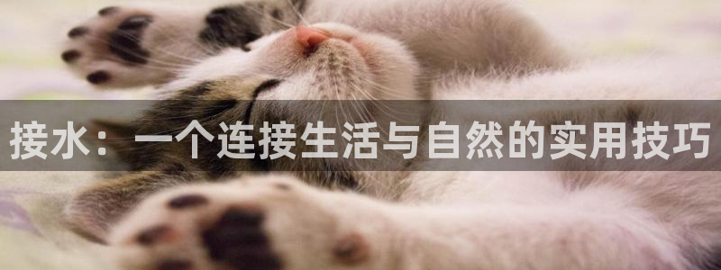 北仑富邦娱乐会所地址